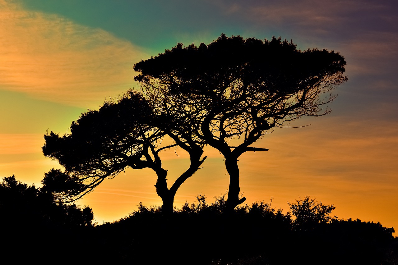 10 Ways to Connect with Nature in Your Daily Routine